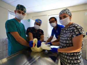 20 bin can dostu şifa buldu