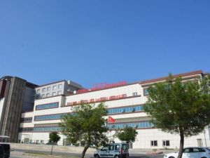 Aydın İl Sağlık Müdürlüğü’nden zeybekli korona virüs uyarısı