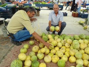 Hisarcık’ta yerli kavun tezgaha indi