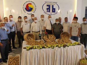 Aydın’da sezonun ilk kuru inciri Borsaya teslim edildi