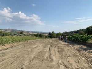 Gördes’te yeni seraların montajı başladı