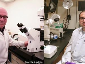 Türk doktorlardan Covid-19 ile ilgili detaylı makale