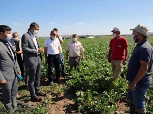 Beşkarış barajı bölgeye can suyu