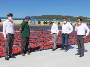 “1 milyar dolar ihracat hedefine üreticilerimizle birlikte ulaşacağız”