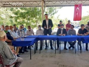 Esgin devreye girdi, domates üreticisi nefes aldı