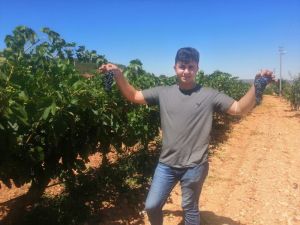 Üzüm üreticileri 2020’den umduğunu bulamadı