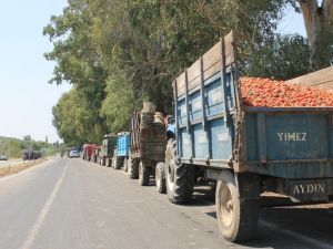 Domates üreticileri salça fabrikası önünde uzun kuyruklar oluşturdu