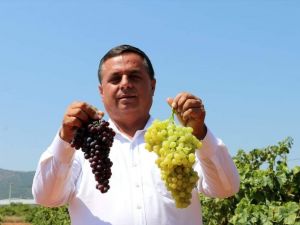 Üzüm satamayan belediye başkanı isyan etti