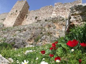Beçin’in kalıcı listeye alınması için girişim başlatıldı