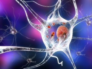 “Köpek kisti ölüme kadar götürebilir”