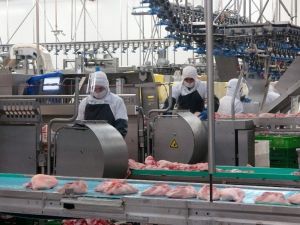 Gedik Piliç’te 1 milyar dolarlık ihracat