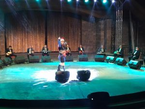 Türküler ‘Yurt Ahengi’ konseriyle dile geldi