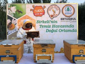 Pursaklar’da "Purbal" hasadı