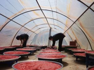 Kadınlar kooperatif kurdu istihdama katkı sağladı