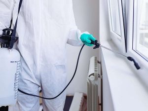 İnternette İstanbullular araç bakımı, Ankaralılar cam balkon hizmeti arıyor