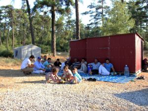 Arılarla ormanlarda geçen yaşamlar