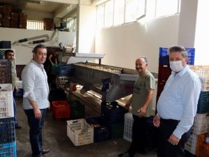 Arslan’dan incir tüccarlarına ziyaret