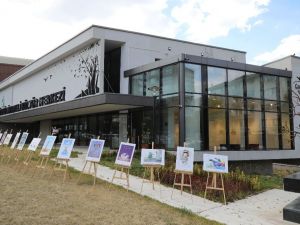 "Barış Karikatürleri" sergisi Zülfü Livaneli’de