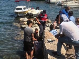 Muğla zabıtasından hayat kurtaran müdahale