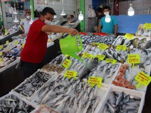 Balık halinde yeni sezon bereketi