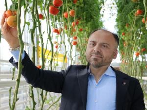 Türkşeker’den sera üretiminde “sözleşmeli tarım” modeli