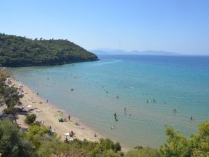Kuşadası’ndaki milli parka 3 ayda 160 bin araçla 789 bin kişi giriş yaptı