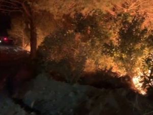 Hatay’daki yangına, karşı ateş tekniğiyle müdahale ediliyor