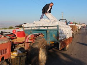 Üzümlerini satabilmek için traktörlerinde sabahladılar