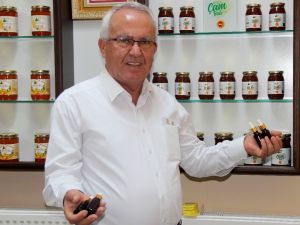 Arı ürünlerine talep arttı