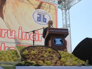 Ege Bölgesi kuru incir rekoltesi 85 bin 585 ton olarak açıklandı