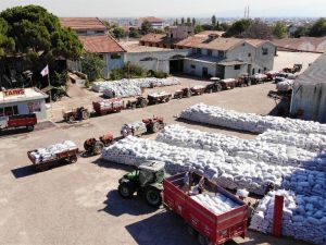 Üzüm alımları başladı, çiftçiler depoların önünde kuyruk oluşturdu