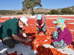 Başkan Çerçi Pelitalan’da üreticileri dinledi