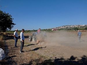 Çeşme’de, Karabuğday’ın bilgilendirme toplantısı yapıldı