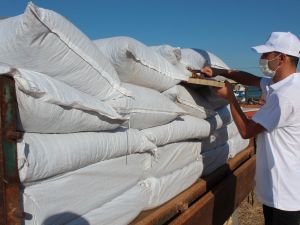 TMO Alaşehir’de alım kontenjanını arttırdı