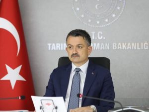 Bakan Pakdemirli, G20 Tarım ve Su Bakanları Toplantısı’na katıldı