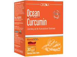 Bağışıklık Sistemini Destekleyici Besinler