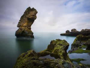 “Senin Objektifinden Kıyıköy” fotoğraf yarışması ödülleri sahiplerini buldu
