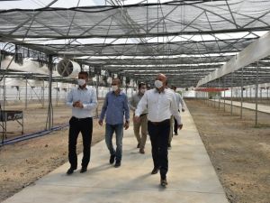 Manisa Büyükşehir Belediyesi üreterek tasarruf sağlayacak