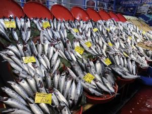 Balık tezgahlarında palamut bolluğu yaşanıyor