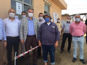 TMO Müdürü Güldal kuru üzüm alımı yaptı