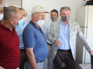 TMO 10 günde 10 bin ton üzüm alımı gerçekleştirdi