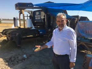 Başkan Hikmet Koyak: ’’Üretici, silajlık mısır hasadından memnun’’