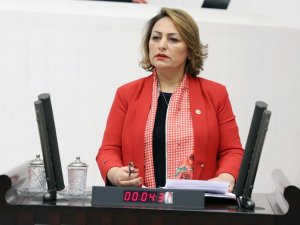 Şevkin: "Arı ölümleri önlenmeli"