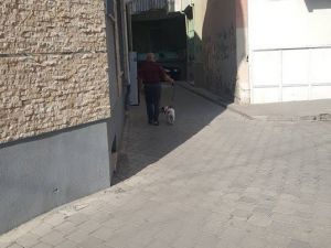 Karantina ihlaline komşu engeli