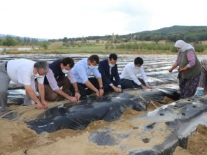 Kaymakam Soylu: "Amacımız üreticimize yeni gelir kaynakları oluşturmaktır"