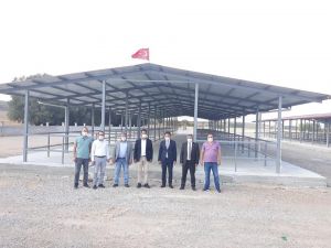 ’’Canlı hayvan pazarı ilçe ekonomisi için çok önemli bir yatırım’’