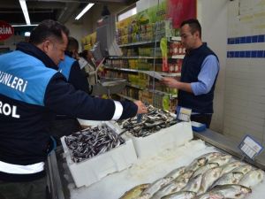 Balık sezonunun açılmasıyla birlikte denetimler başladı