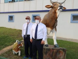 Türkiye’nin 3 aşı projesi insan denemeleri aşamasında