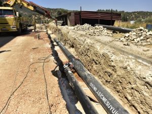 Milas memba kalitesinde suya kavuşuyor