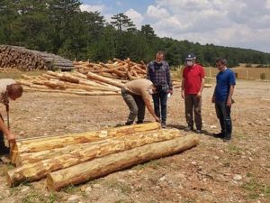 Ormanda ihtiyaca göre üretim